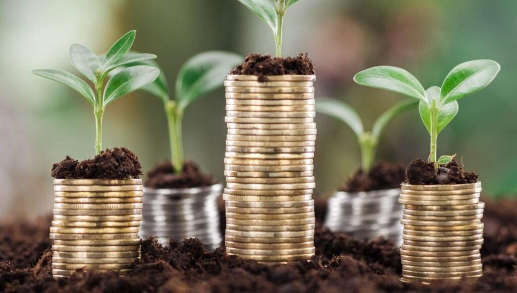 Are There 5 Key Venture Capital Firms and Angel Investors Nurturing Irish Startups?